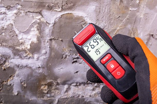 Best Industrial Mold Remediation in Manchester, MO
